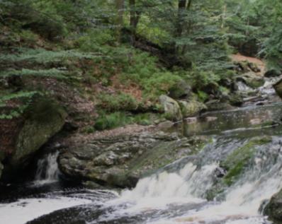 Gite Ardennes Au Coin Du Feu Jacuzzi Sauna Et Nature جالهاي المظهر الخارجي الصورة