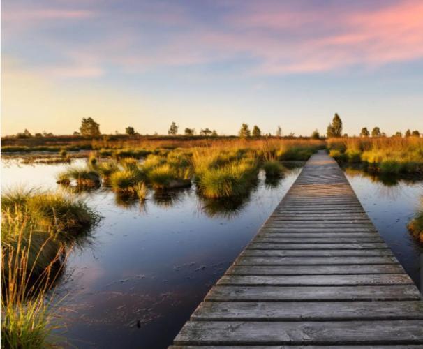 Gite Ardennes Au Coin Du Feu Jacuzzi Sauna Et Nature جالهاي المظهر الخارجي الصورة