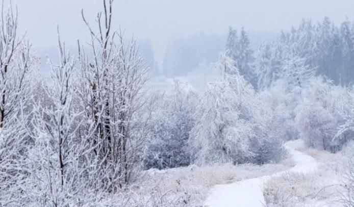 Gite Ardennes Au Coin Du Feu Jacuzzi Sauna Et Nature جالهاي المظهر الخارجي الصورة